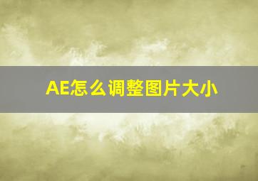 AE怎么调整图片大小