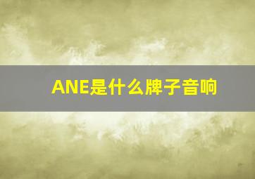 ANE是什么牌子音响