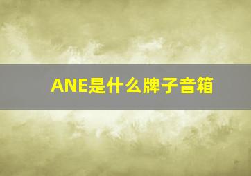 ANE是什么牌子音箱