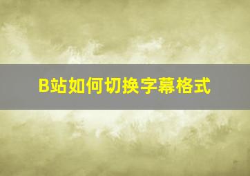 B站如何切换字幕格式