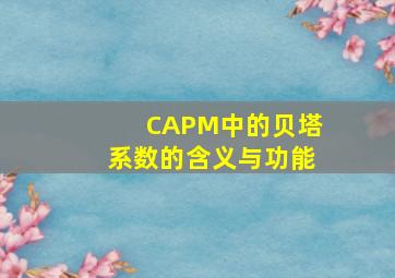 CAPM中的贝塔系数的含义与功能