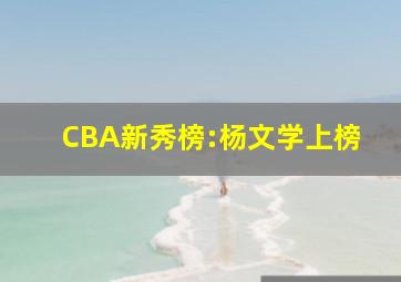 CBA新秀榜:杨文学上榜