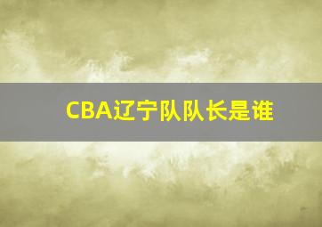 CBA辽宁队队长是谁