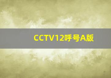 CCTV12呼号A版