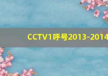 CCTV1呼号2013-2014