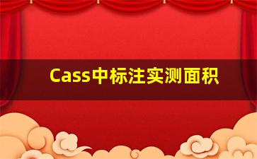 Cass中标注实测面积