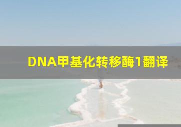 DNA甲基化转移酶1翻译