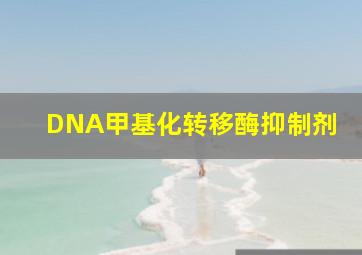 DNA甲基化转移酶抑制剂