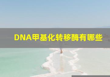 DNA甲基化转移酶有哪些