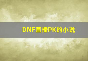 DNF直播PK的小说