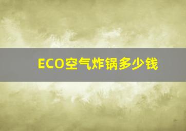 ECO空气炸锅多少钱