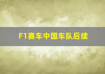 F1赛车中国车队后续