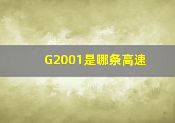 G2001是哪条高速