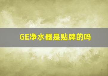 GE净水器是贴牌的吗