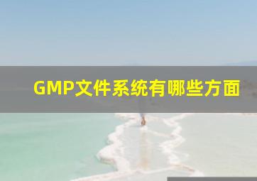 GMP文件系统有哪些方面