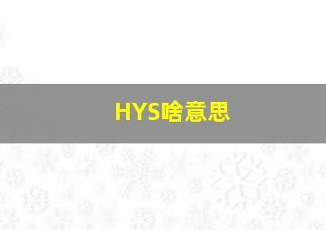 HYS啥意思