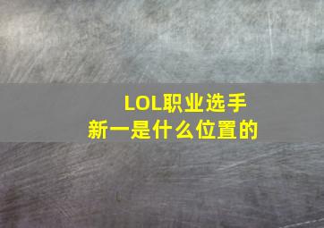 LOL职业选手新一是什么位置的