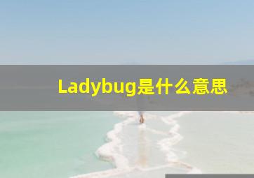 Ladybug是什么意思