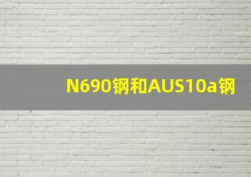 N690钢和AUS10a钢