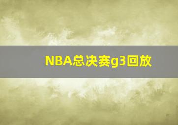 NBA总决赛g3回放