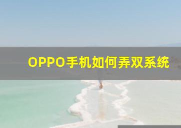 OPPO手机如何弄双系统