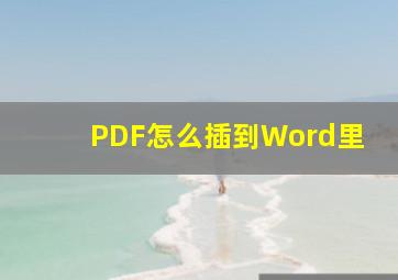 PDF怎么插到Word里