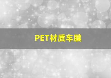 PET材质车膜