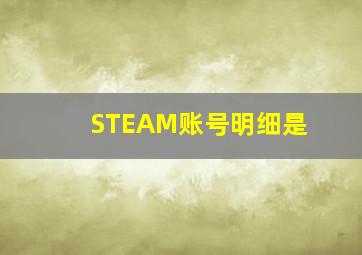 STEAM账号明细是