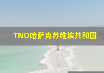 TNO哈萨克苏维埃共和国