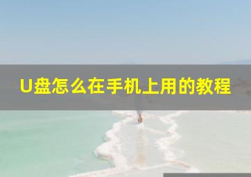 U盘怎么在手机上用的教程