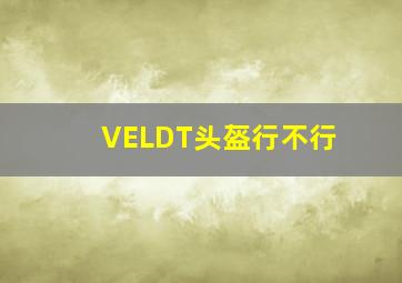 VELDT头盔行不行