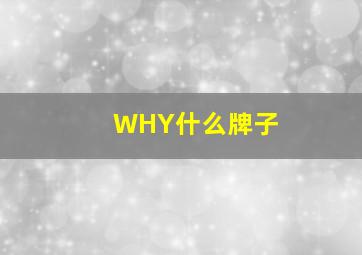 WHY什么牌子