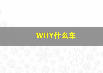 WHY什么车