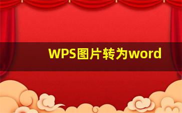 WPS图片转为word