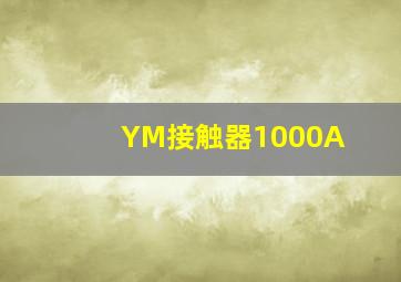 YM接触器1000A