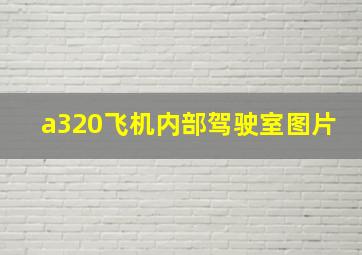 a320飞机内部驾驶室图片