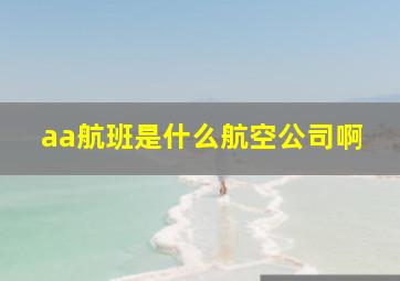 aa航班是什么航空公司啊