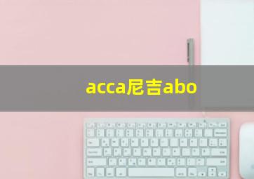 acca尼吉abo