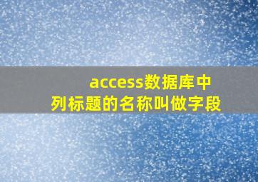 access数据库中列标题的名称叫做字段