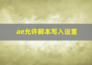 ae允许脚本写入设置