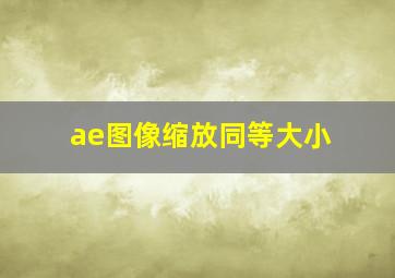 ae图像缩放同等大小