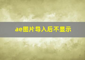 ae图片导入后不显示