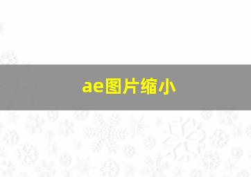 ae图片缩小