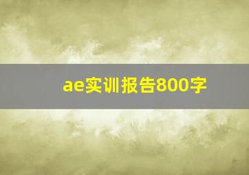 ae实训报告800字