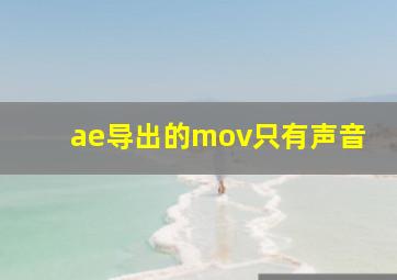 ae导出的mov只有声音