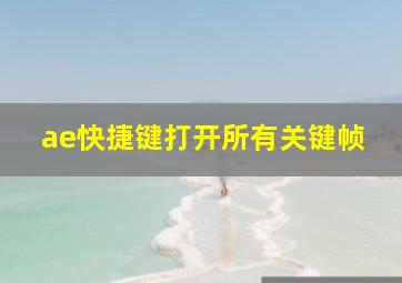 ae快捷键打开所有关键帧