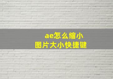 ae怎么缩小图片大小快捷键