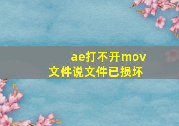 ae打不开mov文件说文件已损坏