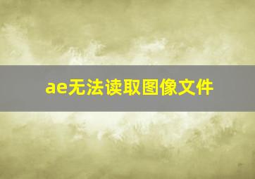 ae无法读取图像文件