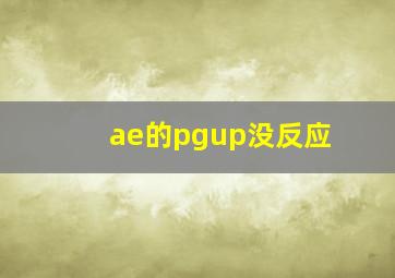 ae的pgup没反应